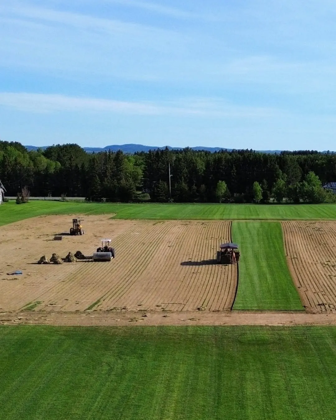 A North Range Sod field mid-harvest, half cut to bare soil and half still in deep green turf.