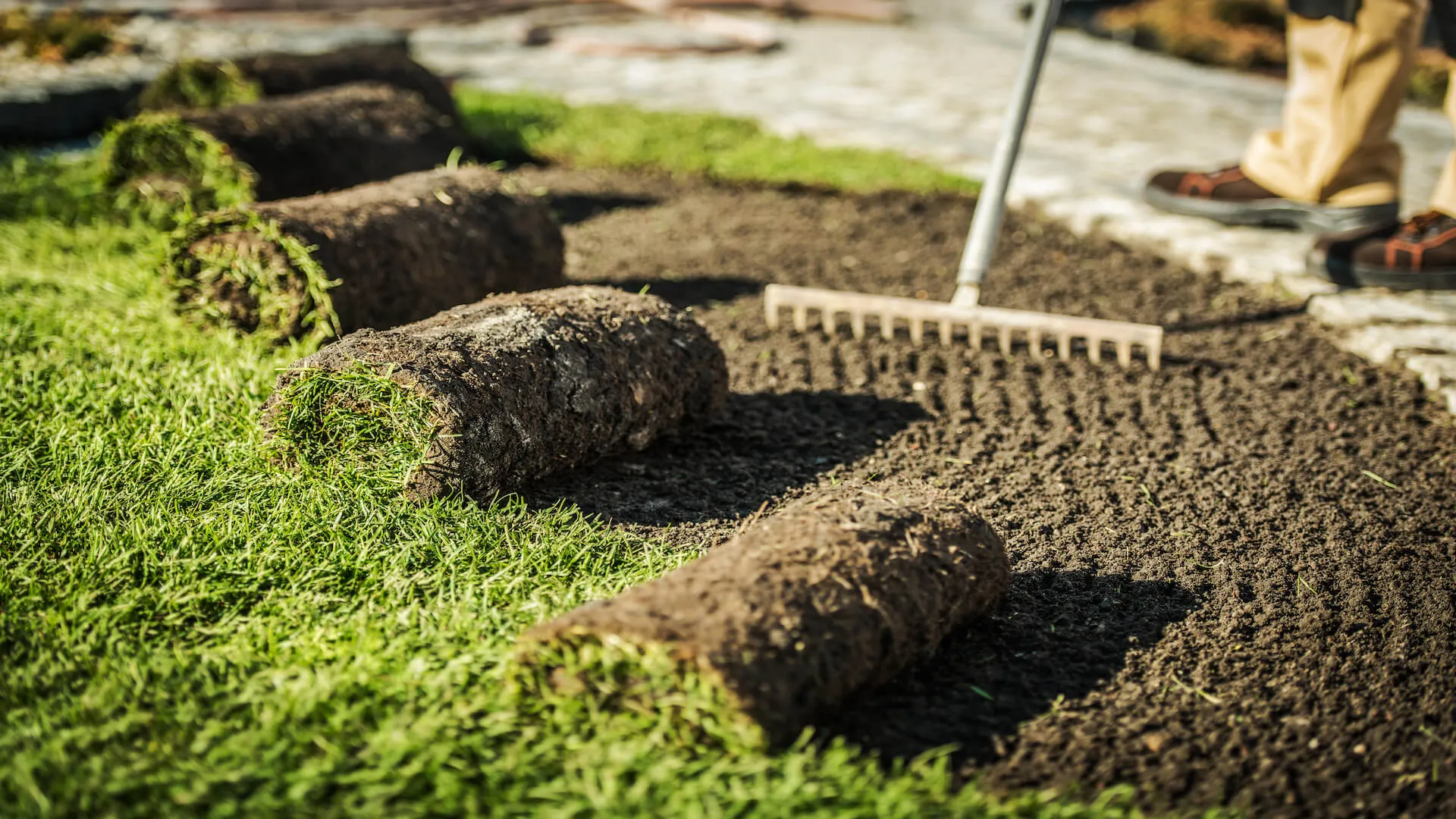 Rolls of fresh sod being unrolled onto raked, levelled soil beside a finished strip of lawn, with a rake resting on the bare ground.
