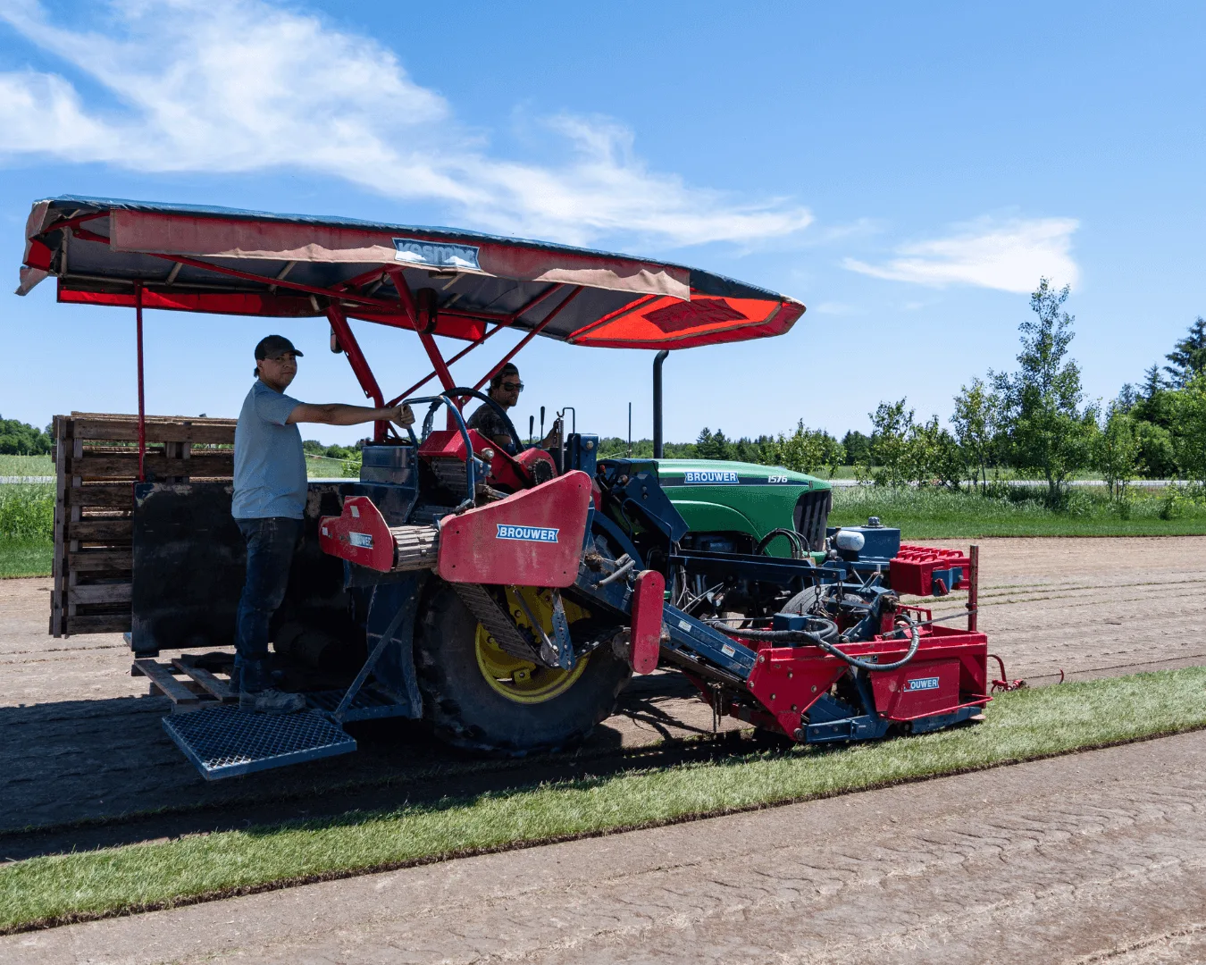 Two members of the North Range Sod crew riding a red Brouwer sod harvester as it cuts a strip of turf under a blue summer sky.
