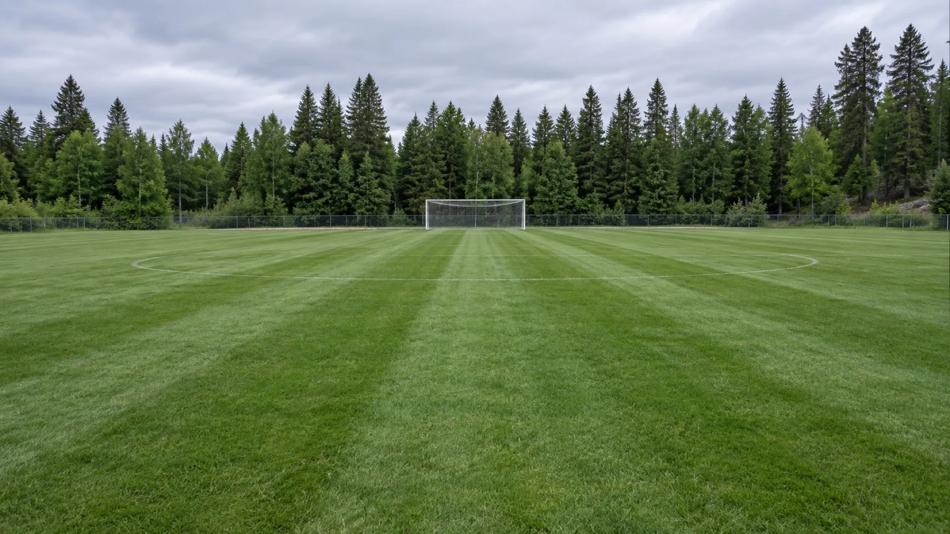 Established Kentucky Bluegrass on an empty municipal soccer field.